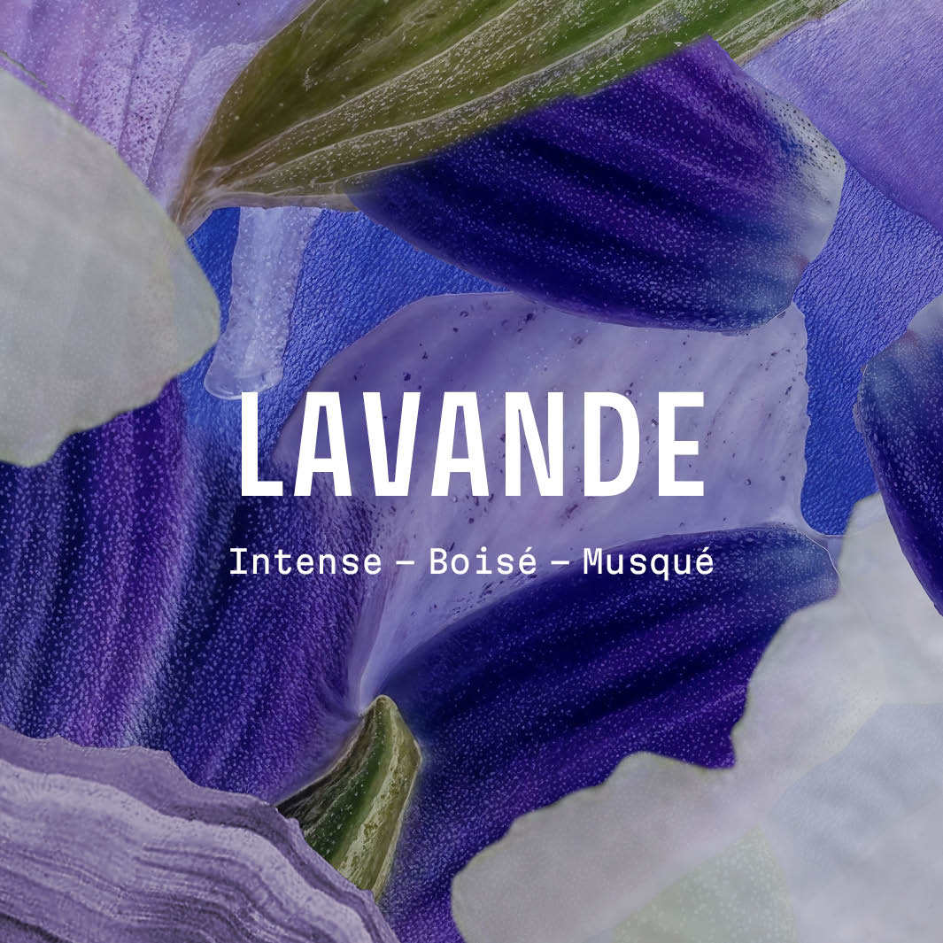 Crème mains hydratante – Lavande 75ml - Image 4